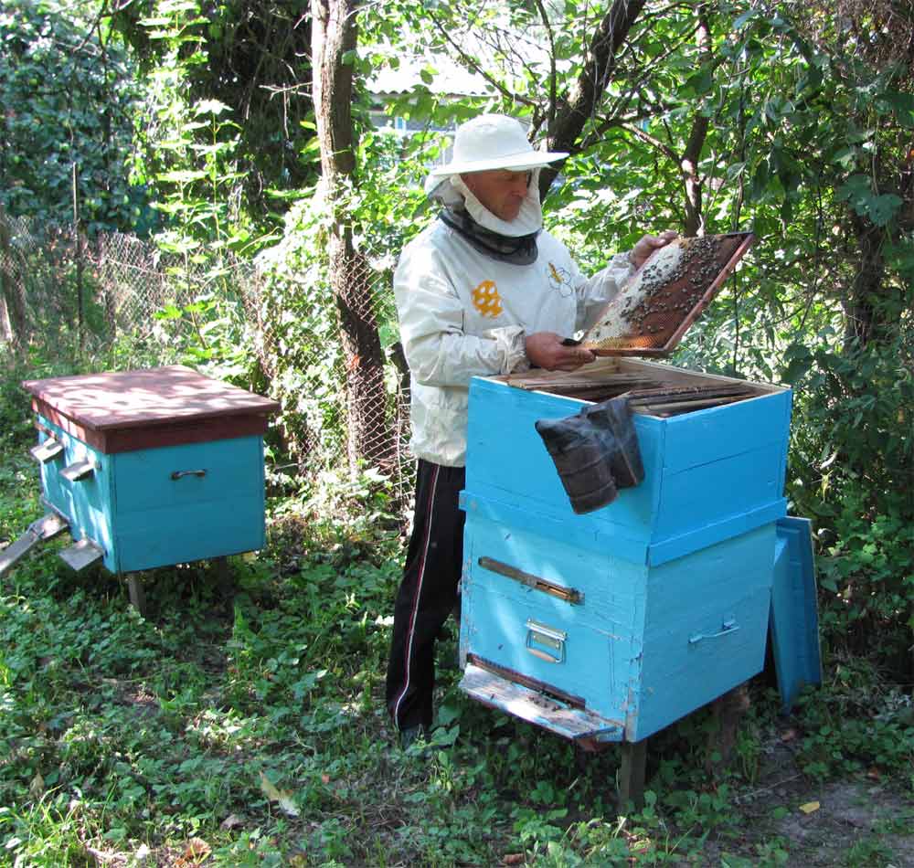 Сергій Анатолійович на пасіці Сергій Анатолійович на пасіці